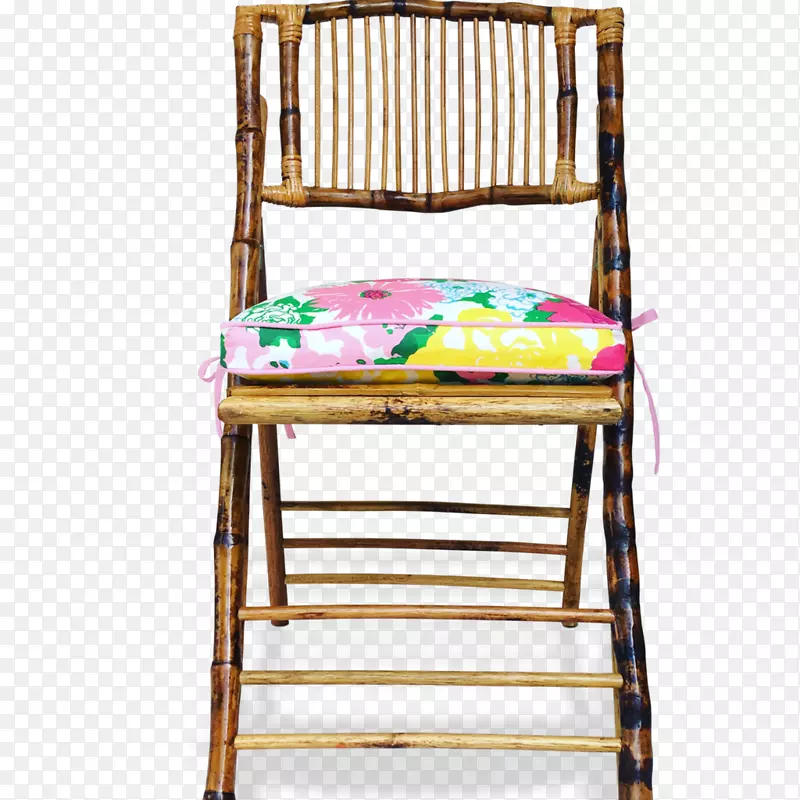 椅子棕榈滩迪克西和优雅由萨拉法托里西德家具靠垫