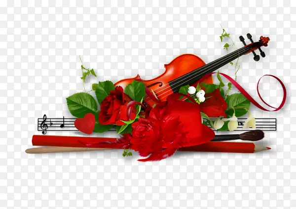 小提琴Shabbat乐器沙洛姆-安装