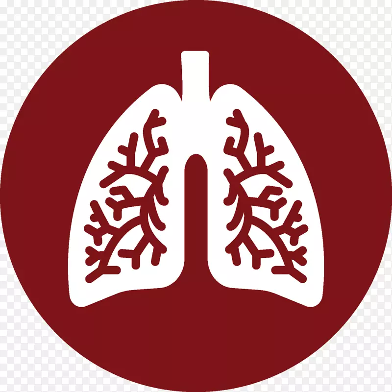 肺电脑图标