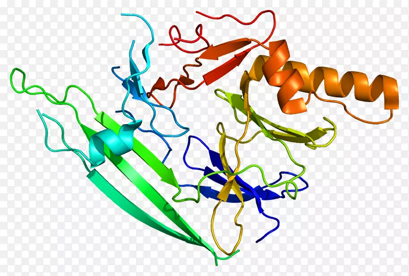 未折叠蛋白反应蛋白激酶蛋白结构-结构