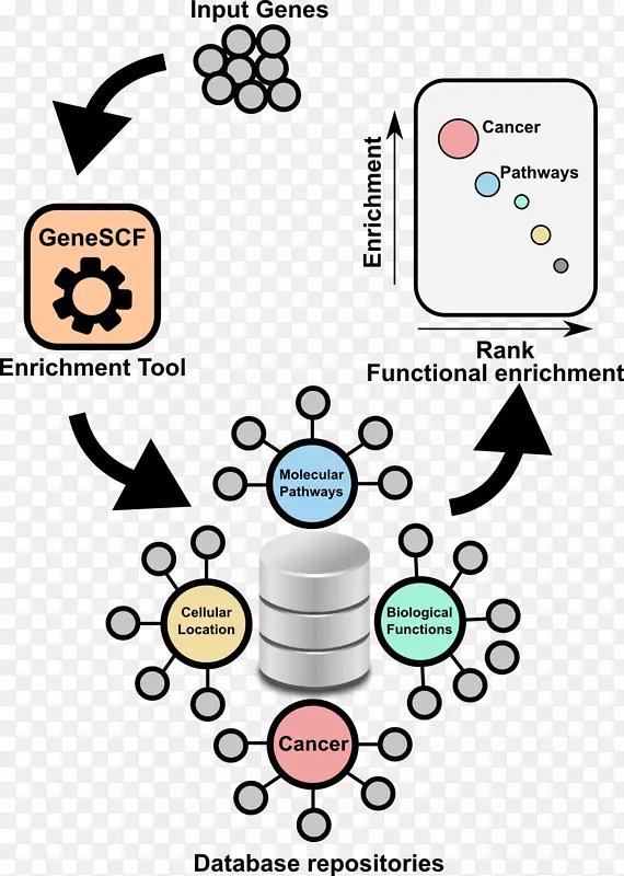 基因集富集分析基因本体david rna-seq-or