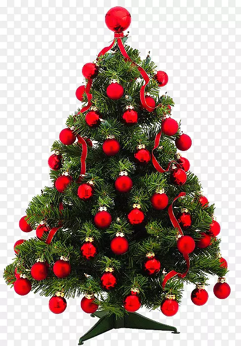 圣诞树，松树，圣诞装饰，冷杉-圣诞树