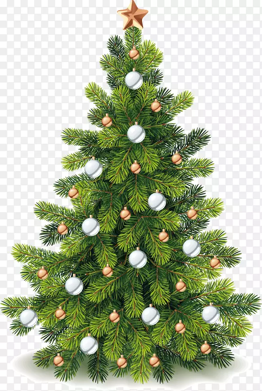圣诞树，圣诞树装饰，松树