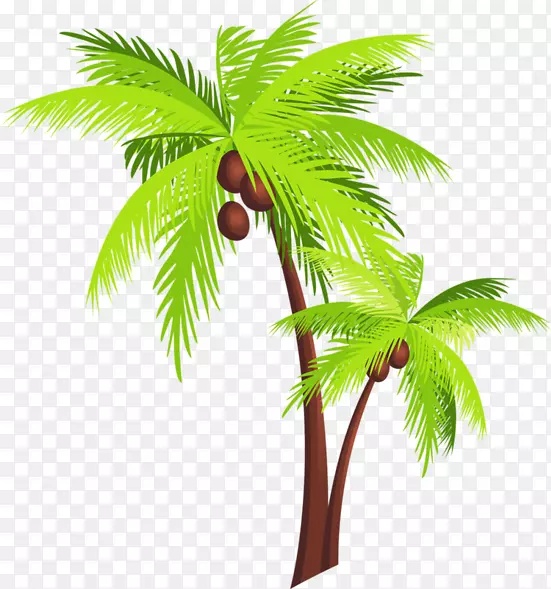 槟榔科椰子树剪贴画-椰子