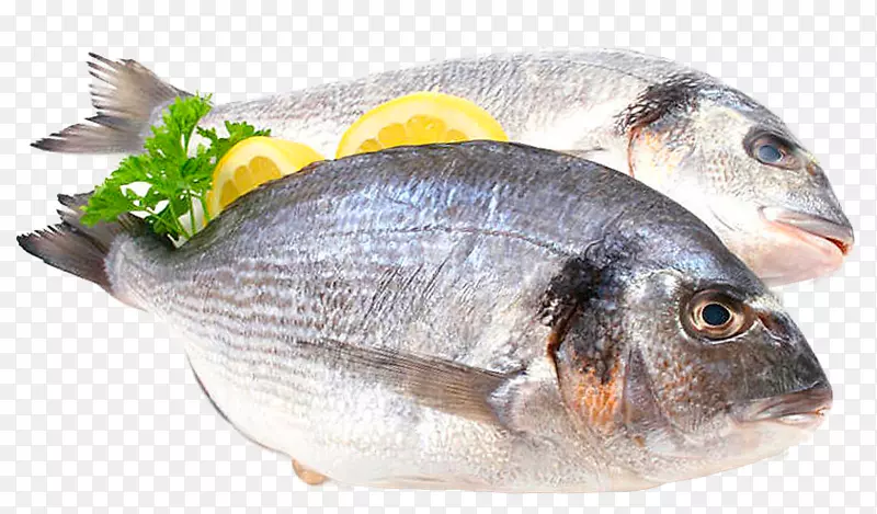食用鱼蛋白