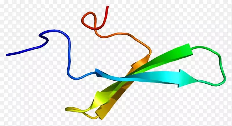转录伸长调节因子1基因核仁组成区蛋白转录因子