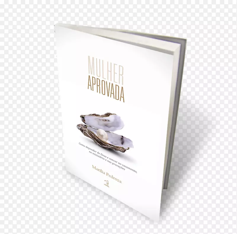 Mulher aprovada鞋设计