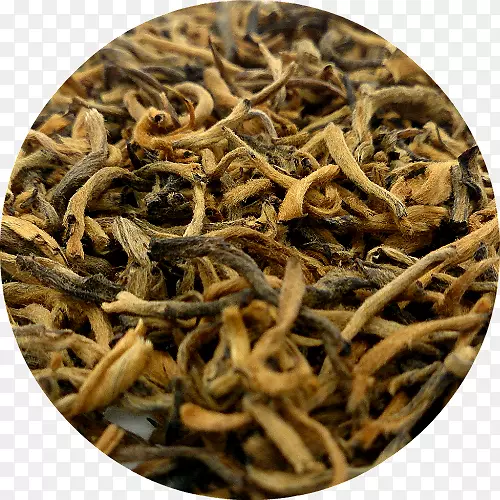 尼尔吉里茶甸红金丝猴茶树-茶