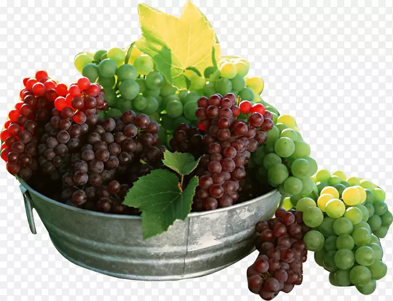 水果葡萄浆果营养食品-葡萄