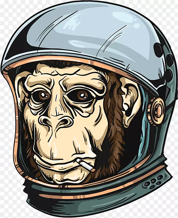 黑猩猩火腿自行车头盔-火腿