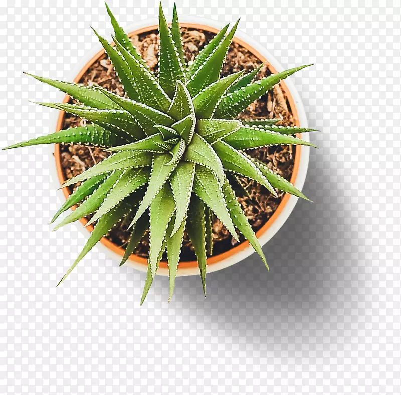 植物网格标志在最高的英亩-植物