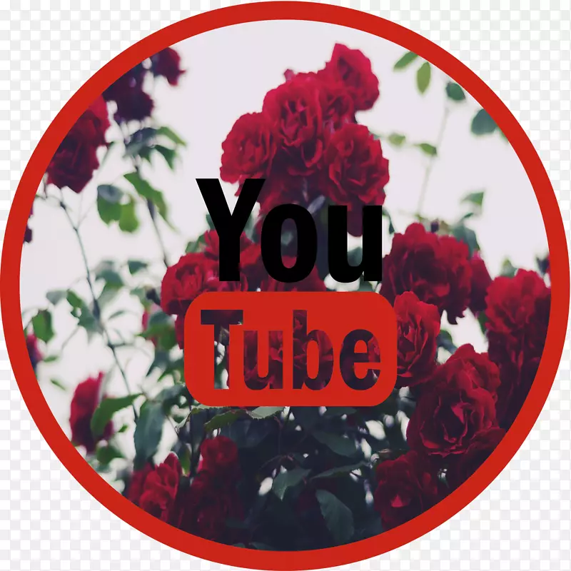Youtube标签标有花园玫瑰品牌-YouTube