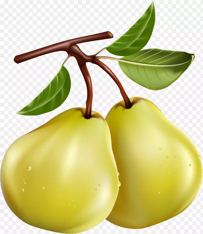 梨果夹艺术-梨