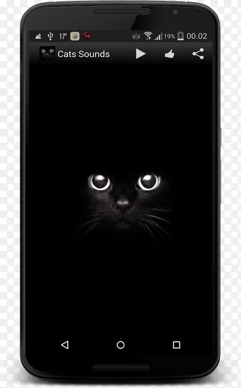 手机喜马拉雅猫暹罗猫小猫智能手机