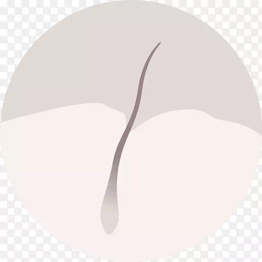 圆形字体设计