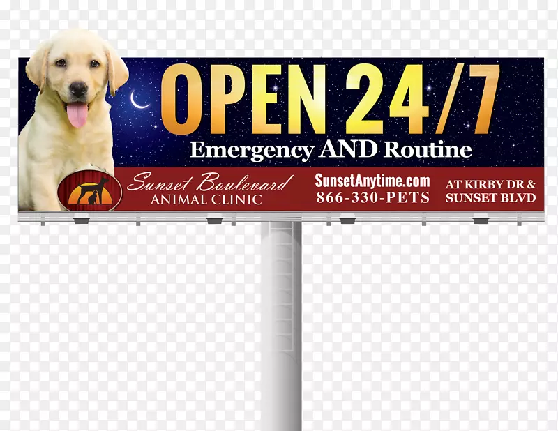 犬种索尼Xperia Z5广告牌索尼-广告牌