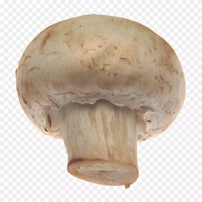 普通蘑菇丰盛早餐牛肉波吉农烤豆-早餐
