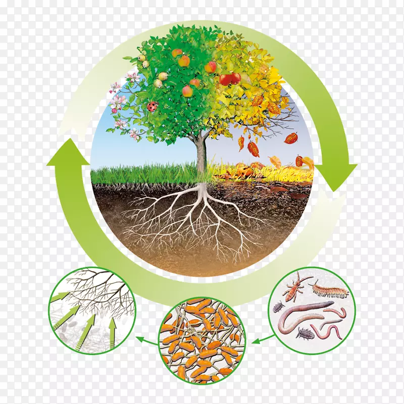 肥料腐殖质营养循环经济有机质