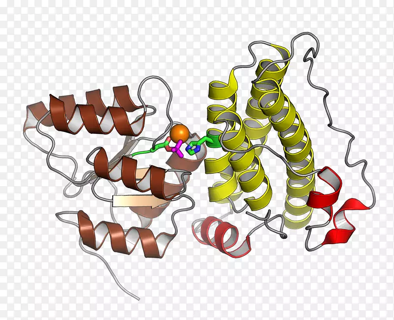 组氨酸磷转移域反应调节剂组氨酸激酶蛋白结构域