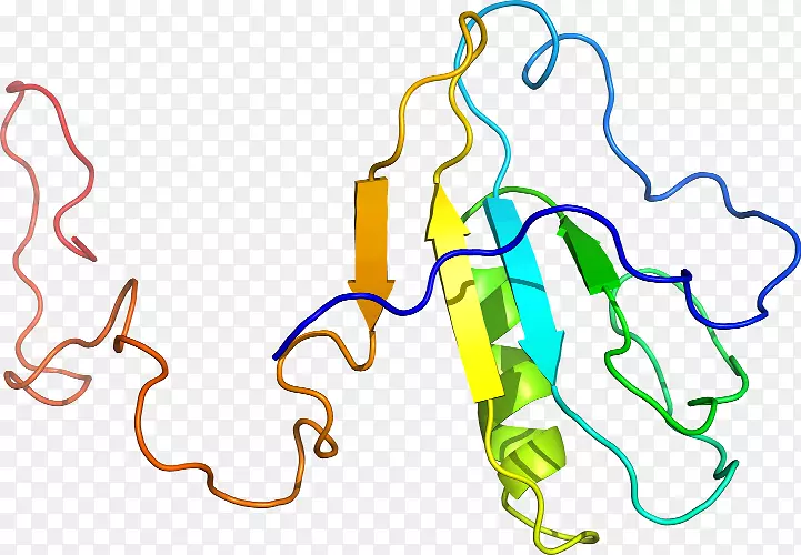 线点生物剪贴画线