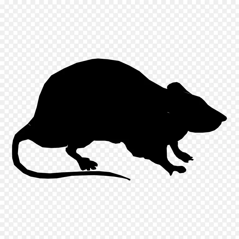 实验室大鼠剪影黑鼠剪贴画.剪影