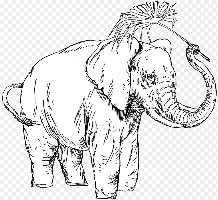 印度象非洲象线画-人与动物