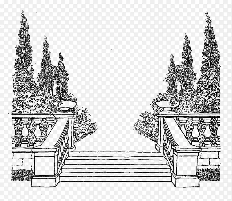 立面建筑线艺术素描植物学框架