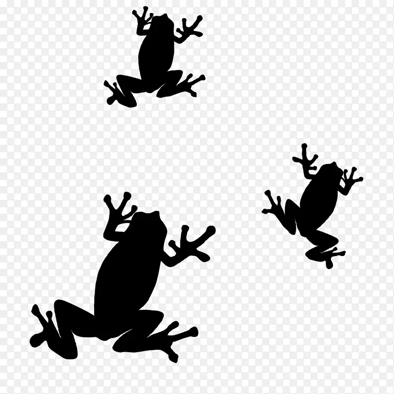 蟾蜍蛙剪贴画-青蛙