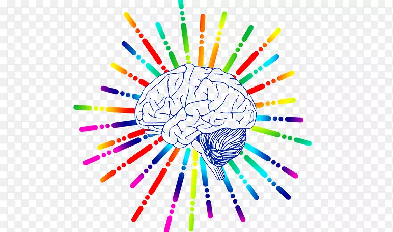人脑神经科学中脑生物学-脑