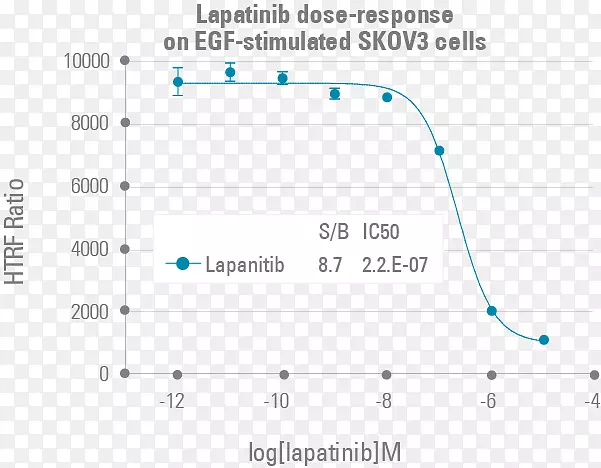 HER 2/neu细胞试验-Lapatinib单克隆抗体治疗-癌细胞培养试剂盒
