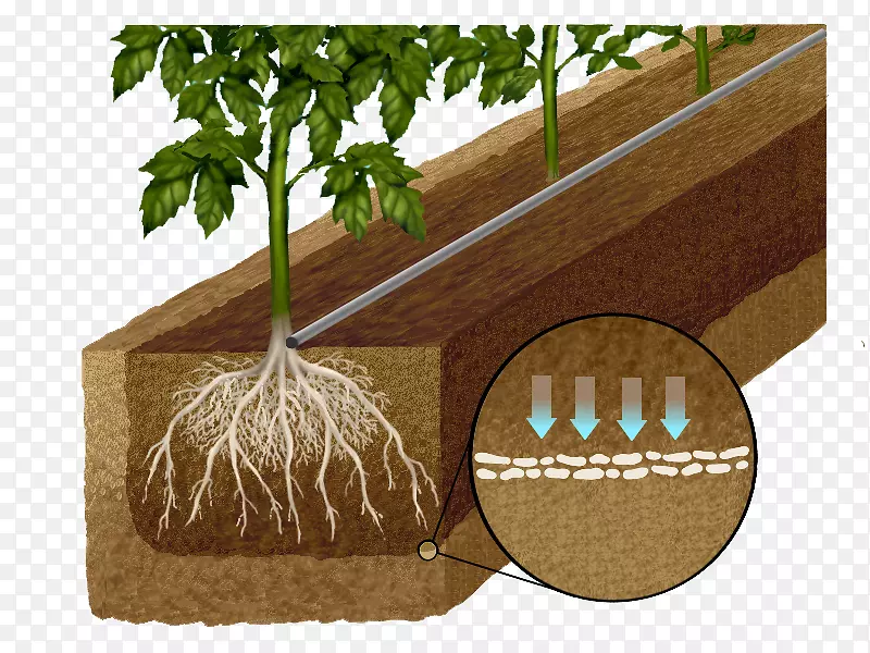 滴灌土壤作物水分农业.第1部分：nước