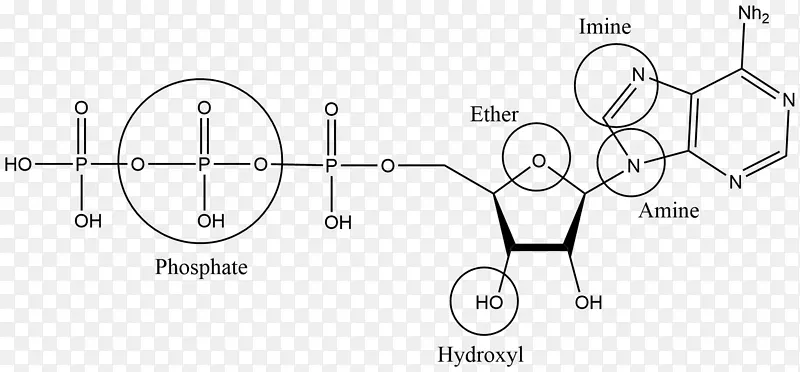 有机化学：结构和功能官能团胺有机化合物-阿司匹林