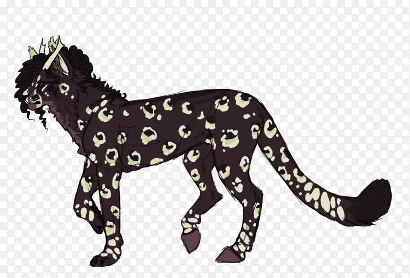 豹大猫陆生动物美洲狮豹