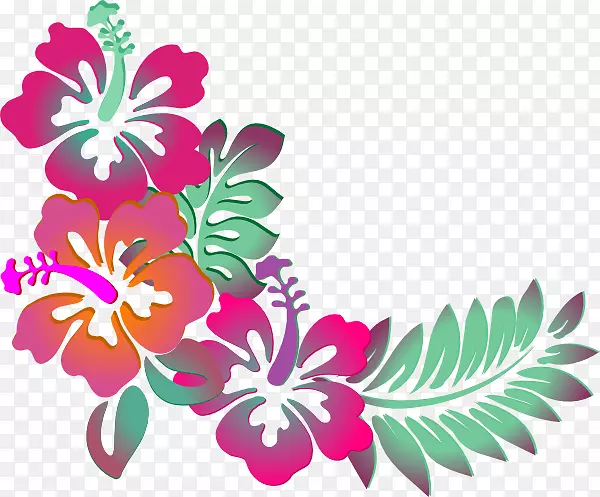 夏威夷木槿电脑图标剪贴画木槿水彩画