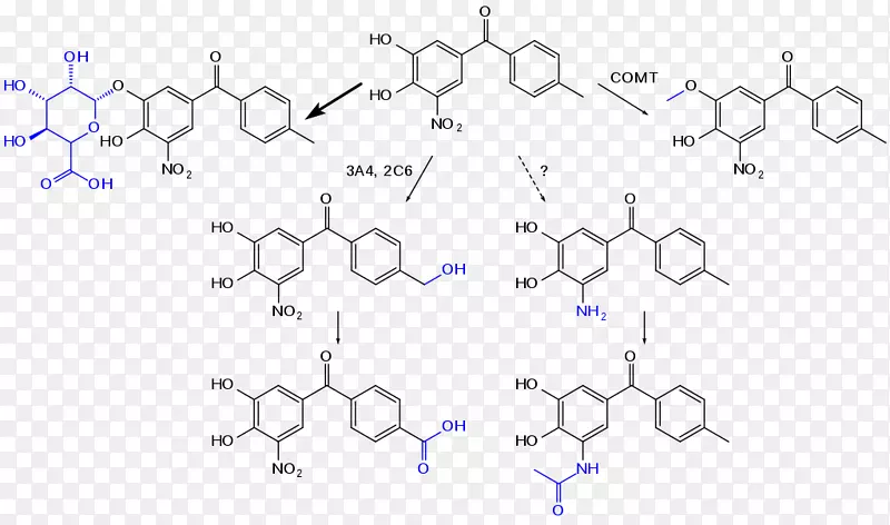共轭体系黄蒽化学亲电芳香族化合物代谢