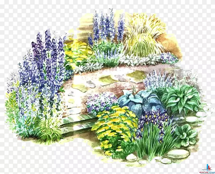 园林设计花卉设计景观设计