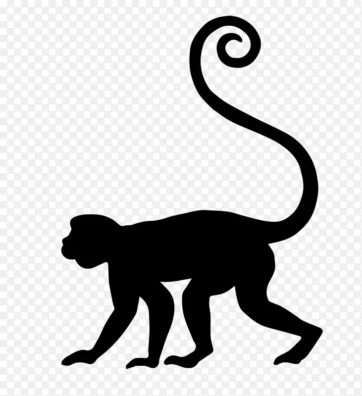 猫科电脑图标灵长类金丝猴剪贴画