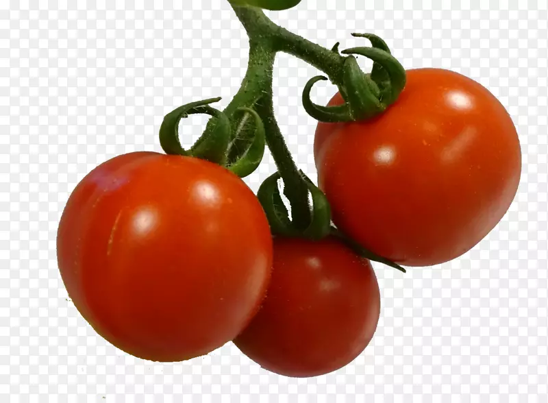 李子番茄灌木番茄素食料理-番茄
