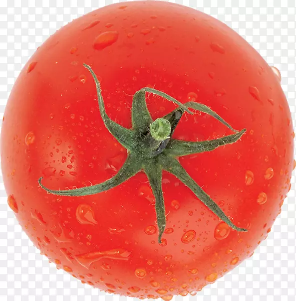 李子番茄灌木番茄蔬菜-番茄