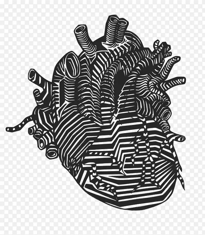 心脏解剖画静脉夹艺术-心脏