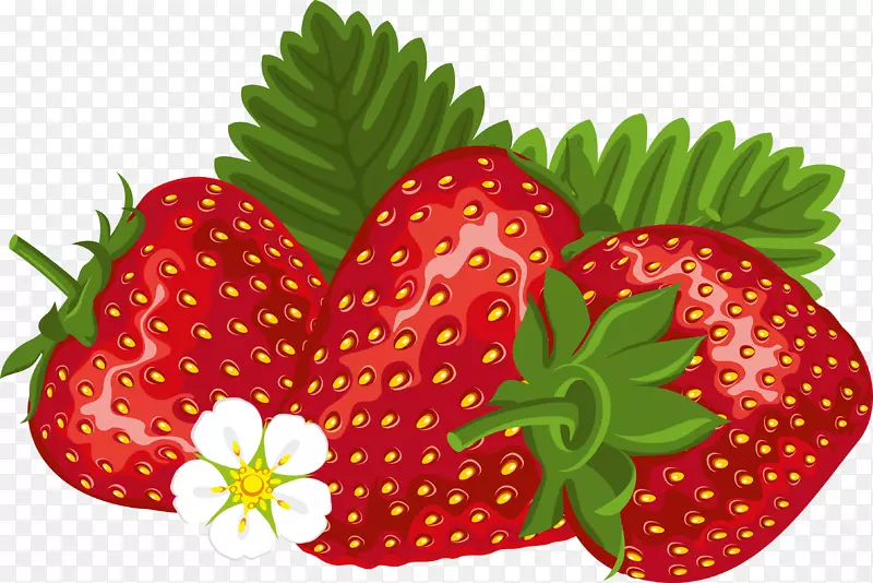 佛罗里达草莓节剪贴画短蛋糕奶昔-草莓