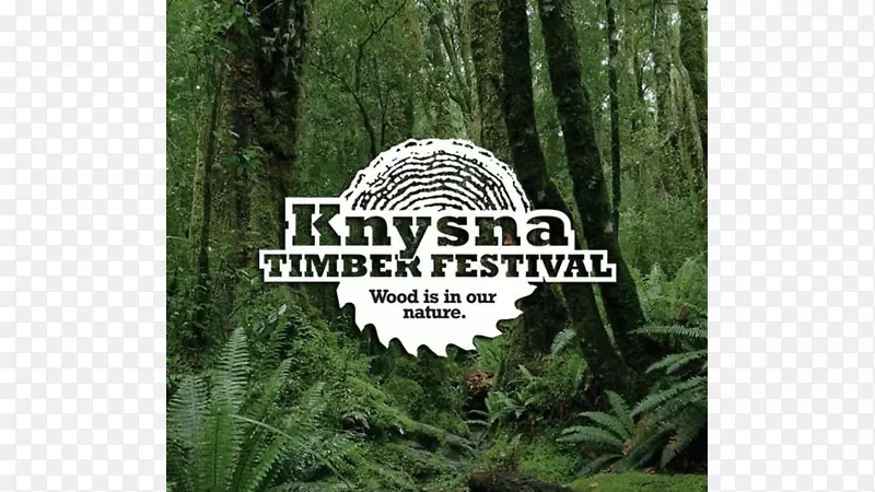 木材村Knysna Plett先驱木材节生物群落自然保护区