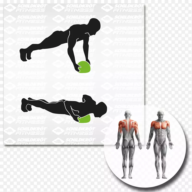 腹部运动健身中心腹直肌肌肉-壁球运动