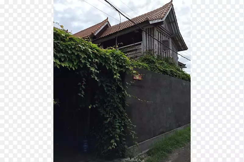房产屋顶小屋-印度尼西亚巴厘岛