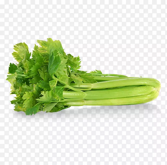 有机食品芹菜混合蔬菜汤种子-蔬菜