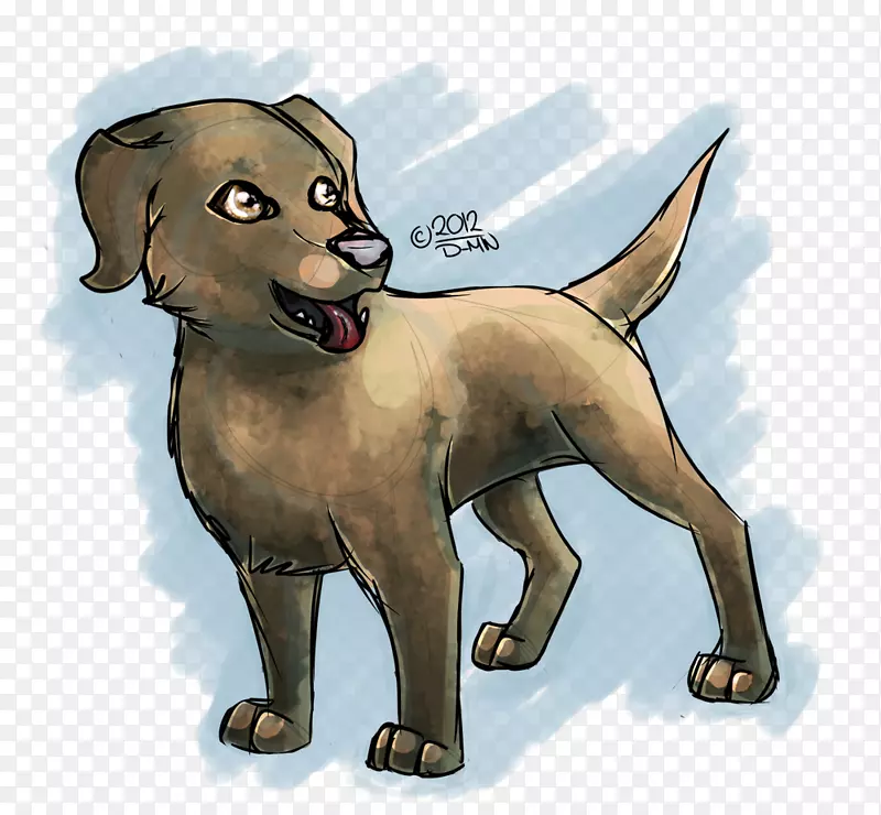 拉布拉多猎犬繁殖运动团体-实验室小狗