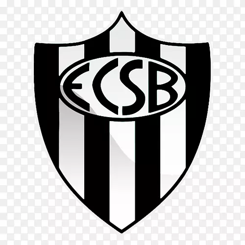 EC s o Bernardo do Campo Campeonato Paulista série A3 tabo o da Serra-Bernardo Silva
