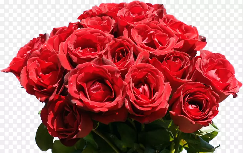 玫瑰花束桌面壁纸红玫瑰束