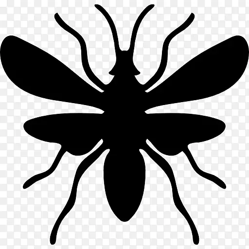 蚂蚁计算机图标昆虫飞行和滑翔动物.昆虫