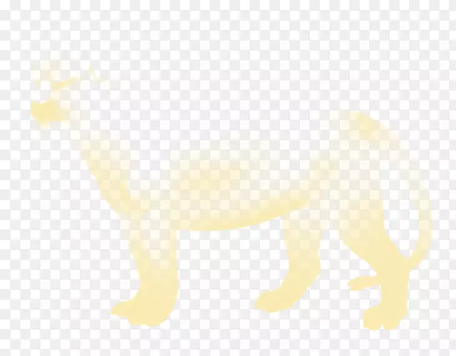 狮子狗猫黄鼻子-狮子